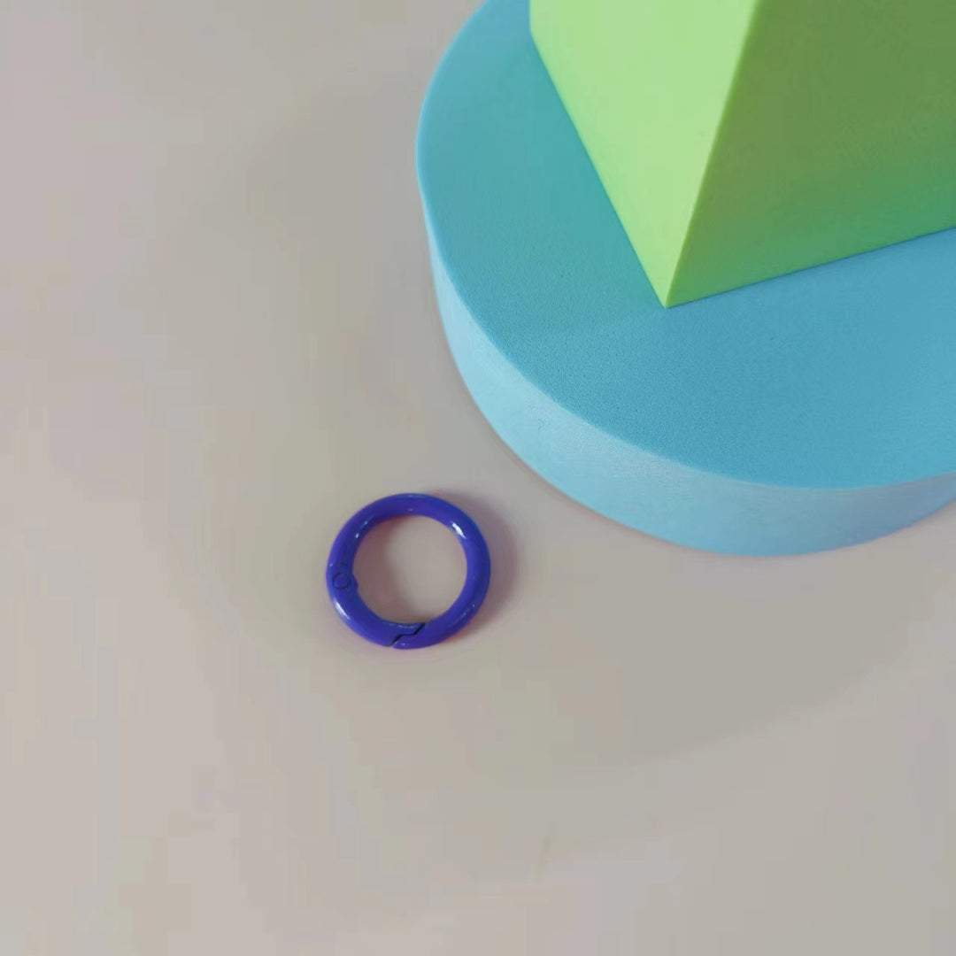 Versatile Clip-On Keyring Kalsten