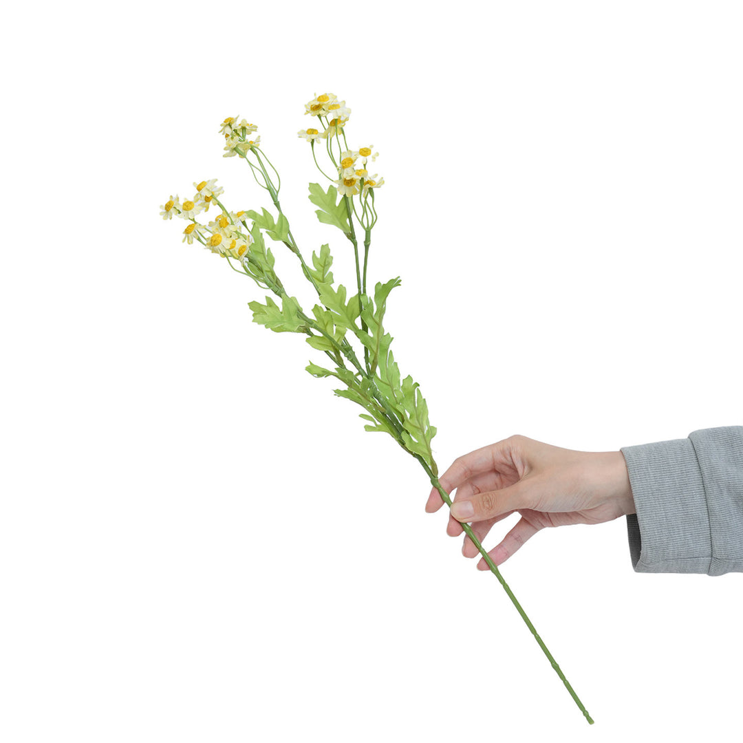 Realistic Yellow Wildflower Stem