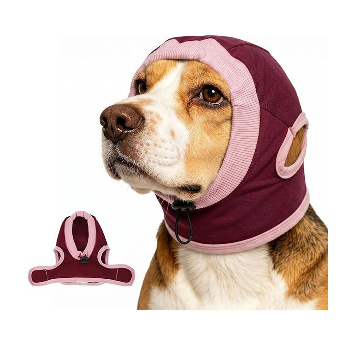 Dog head protection Kalsten