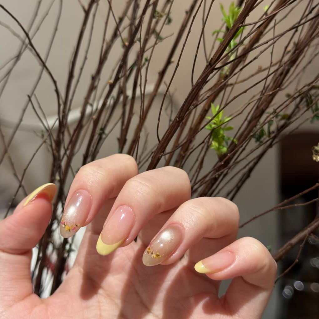 Elegant Ombre French Tip Nail Extensions