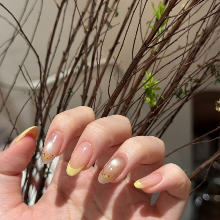 Elegant Ombre French Tip Nail Extensions