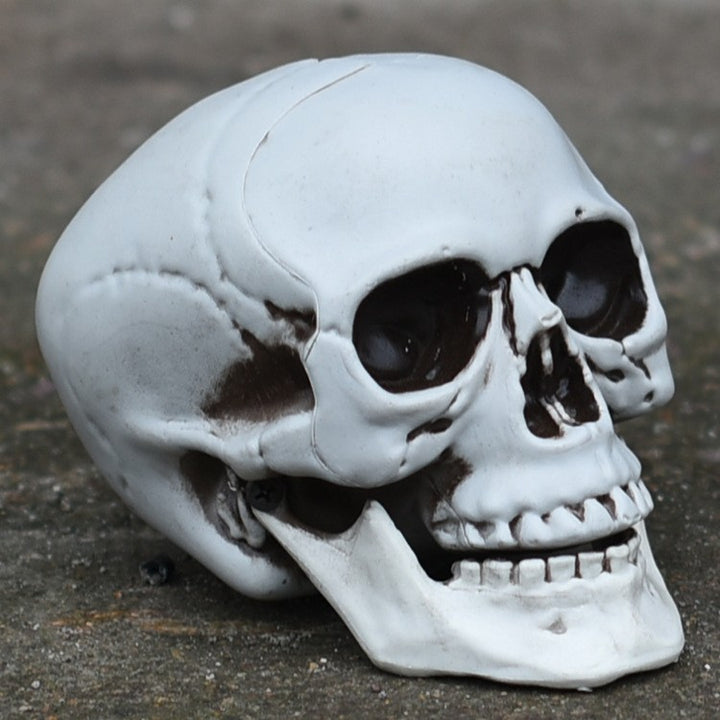 Decorative Skull Phone Stand Kalsten
