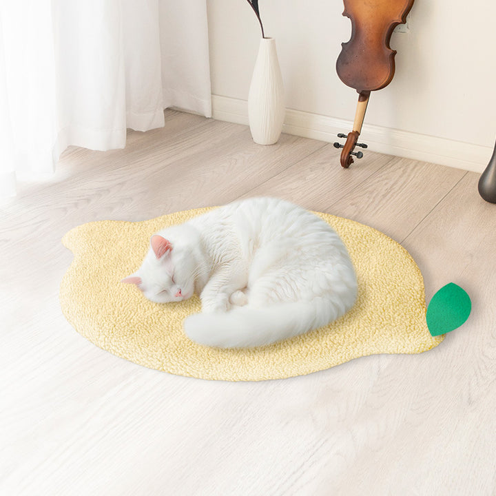 Ladies Fluffy Blanket Kalsten