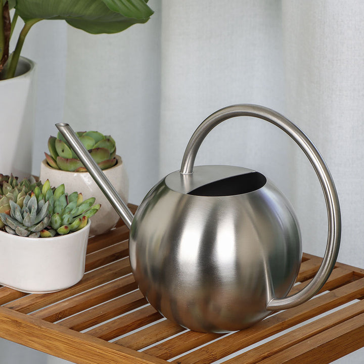 Stylish Modern  Watering Can