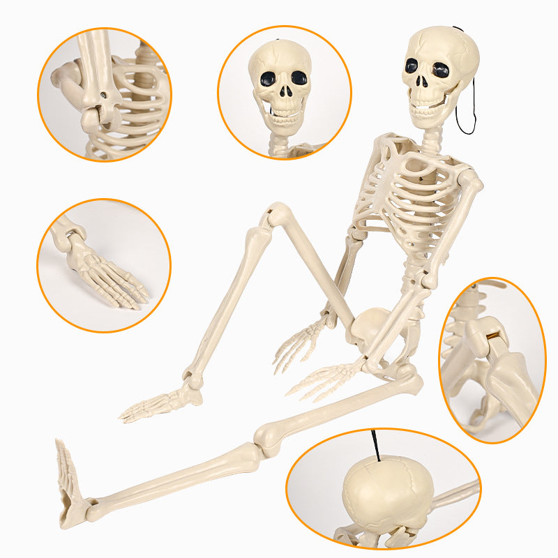 Decorative Skeleton Kalsten