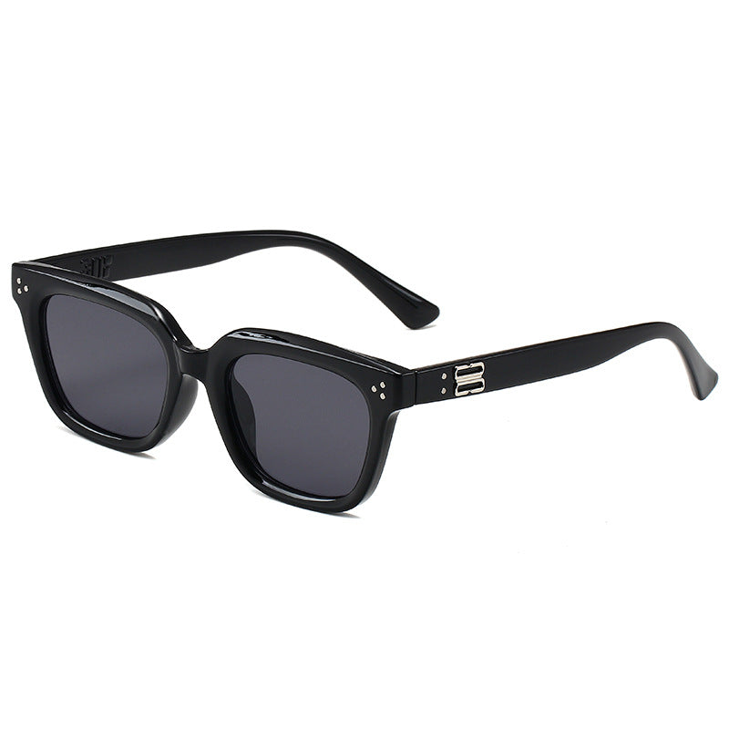Fashionable Acrylic Sunglasses in Modern Design Kalsten