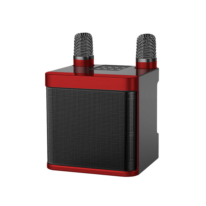 Dual Microphone Karaoke Speaker Kalsten