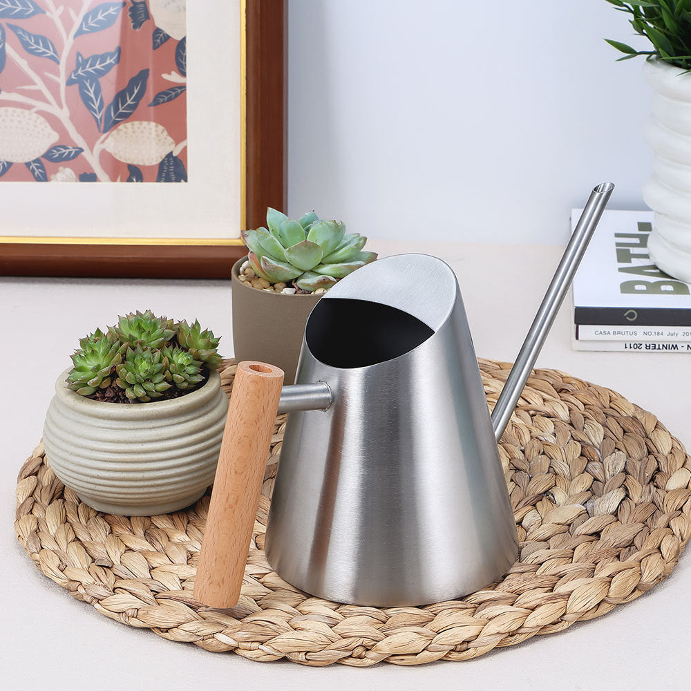 Stylish Metal Watering Can