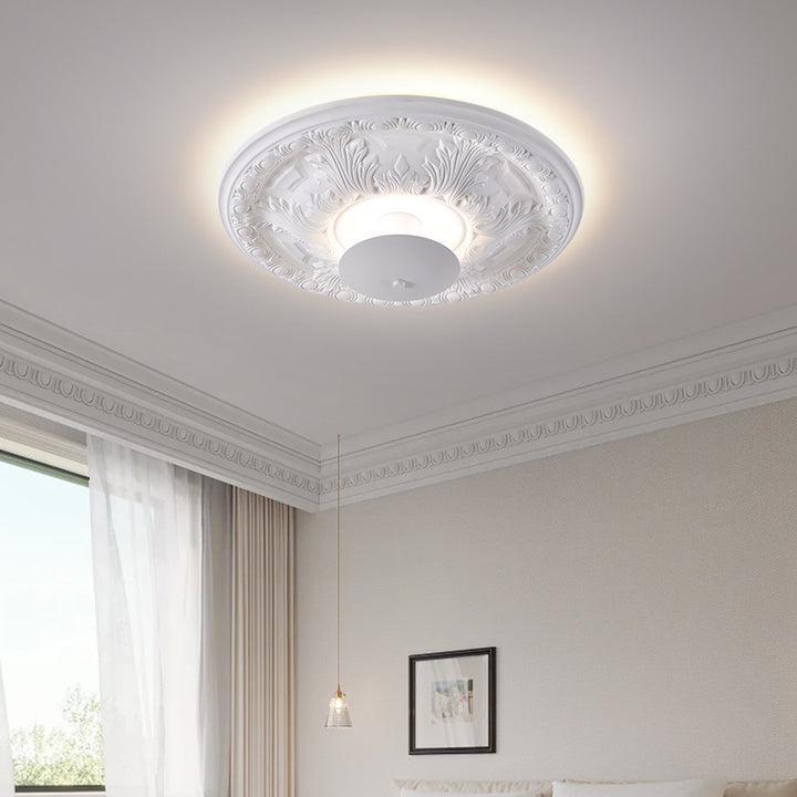 Decorative Ceiling Light