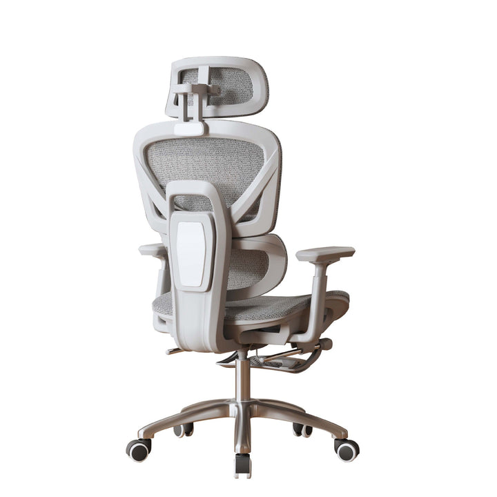Adjustable Lumbar Support Office Chair Kalsten