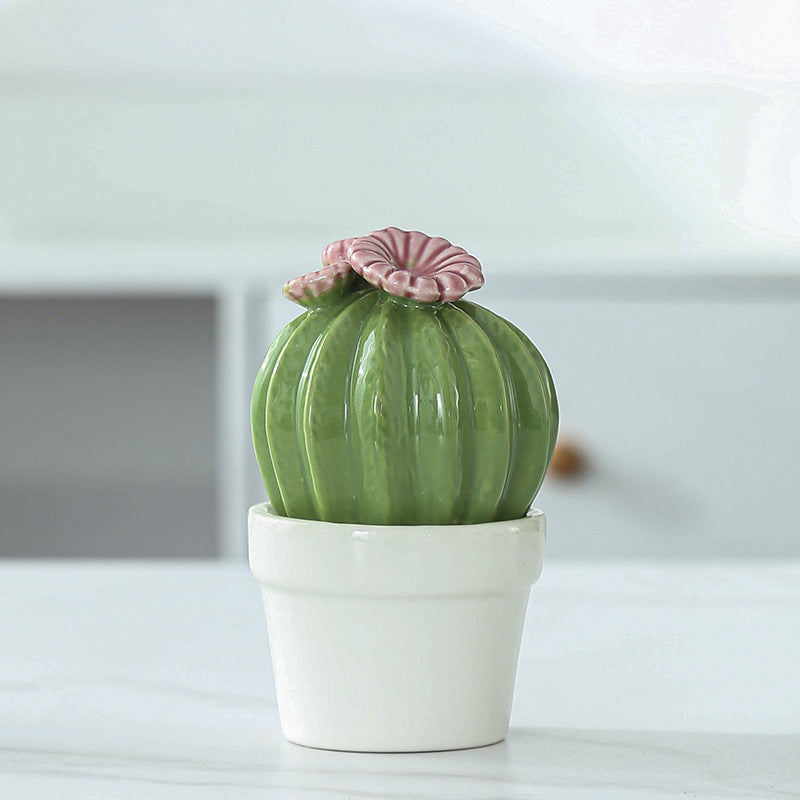 Decorative Ceramic Cactus Planter Kalsten