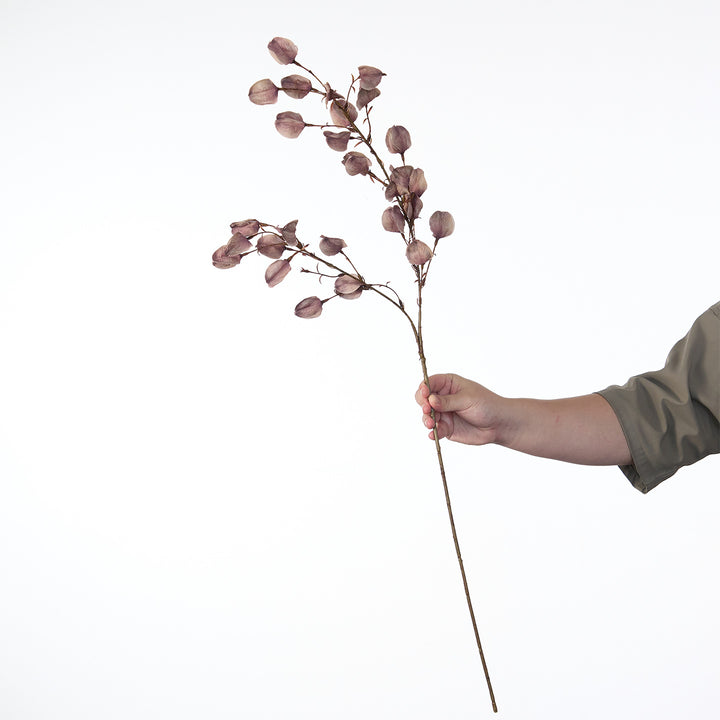 Decorative Dried Floral Stem