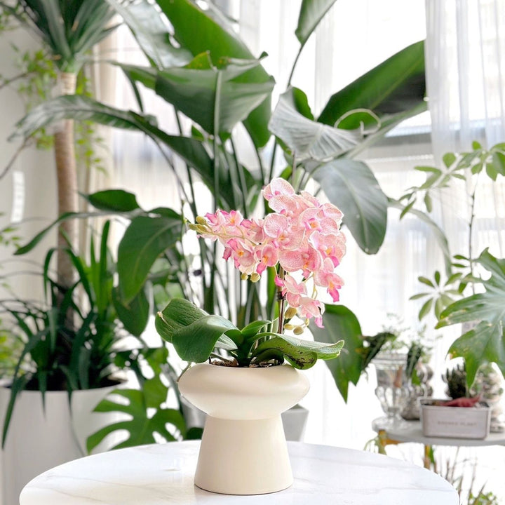 Decorative Home Kalsten