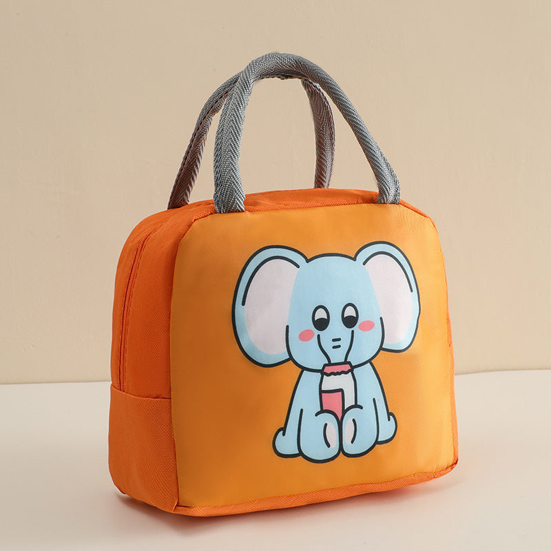 Stylish Insulated Lunch Tote Bag