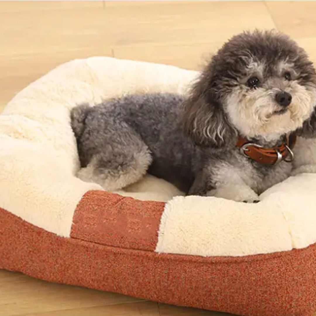 Cozy Orthopedic Dog Bed 1785335801