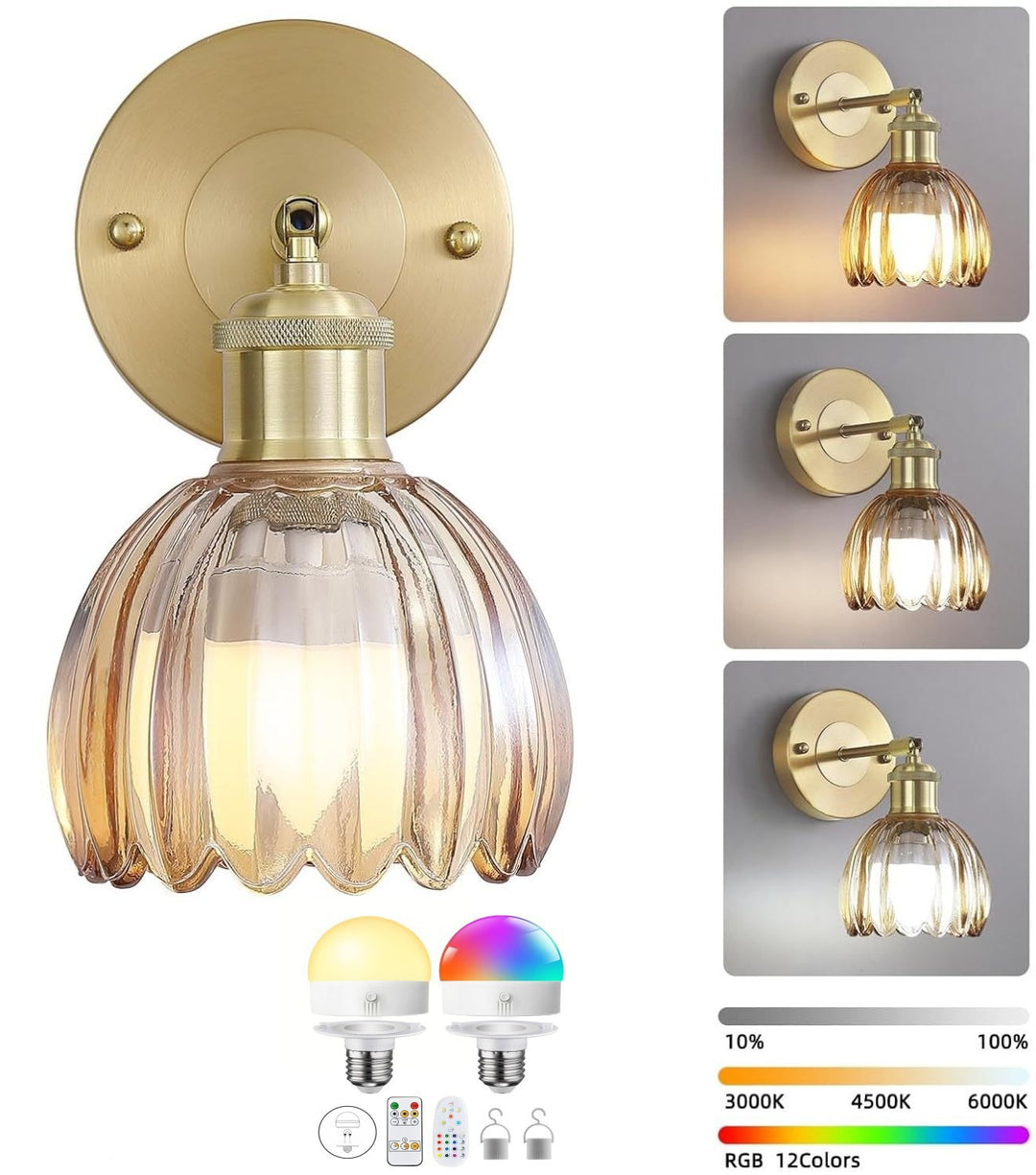 Elegant Glass Wall Sconce