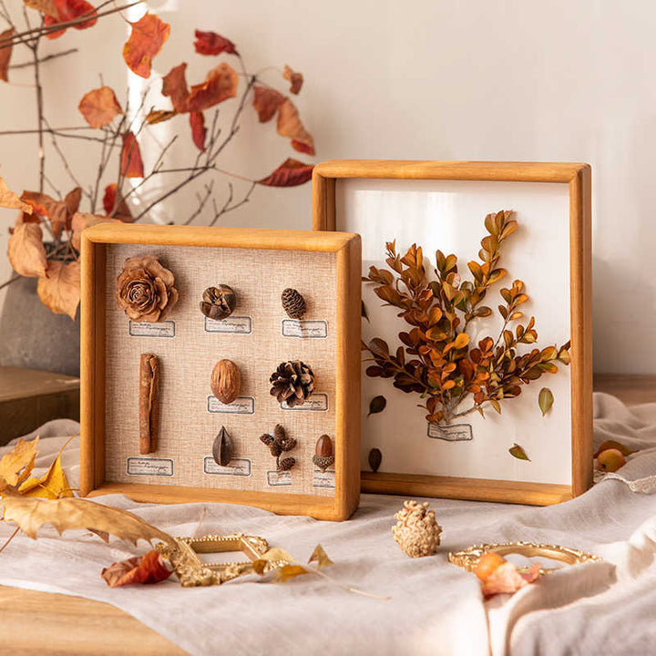 Preserved Botanical Art Frame for Home Decor