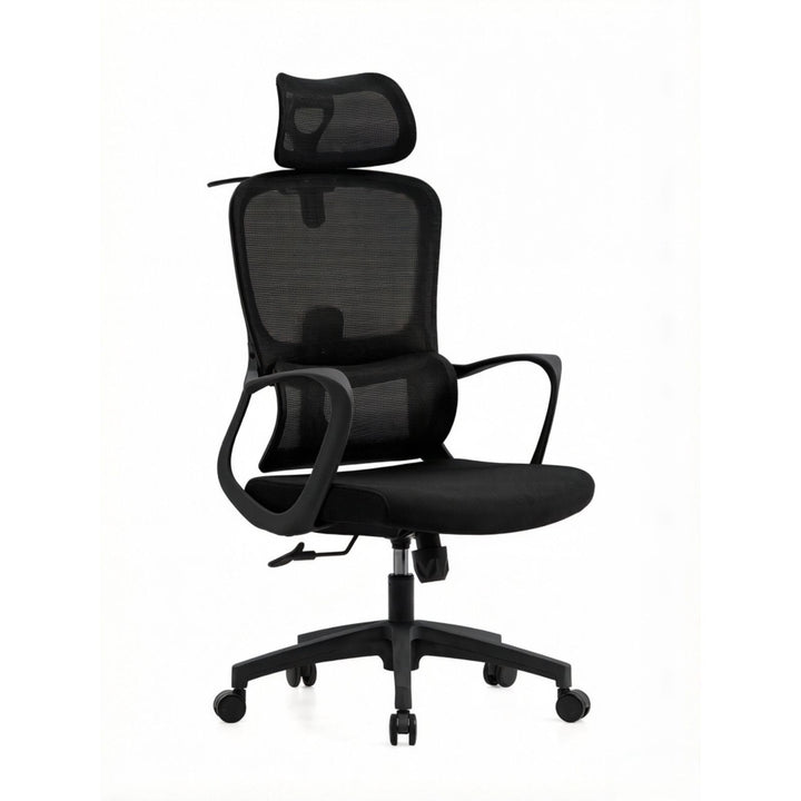 Ergonomic Mesh Office Chair Kalsten