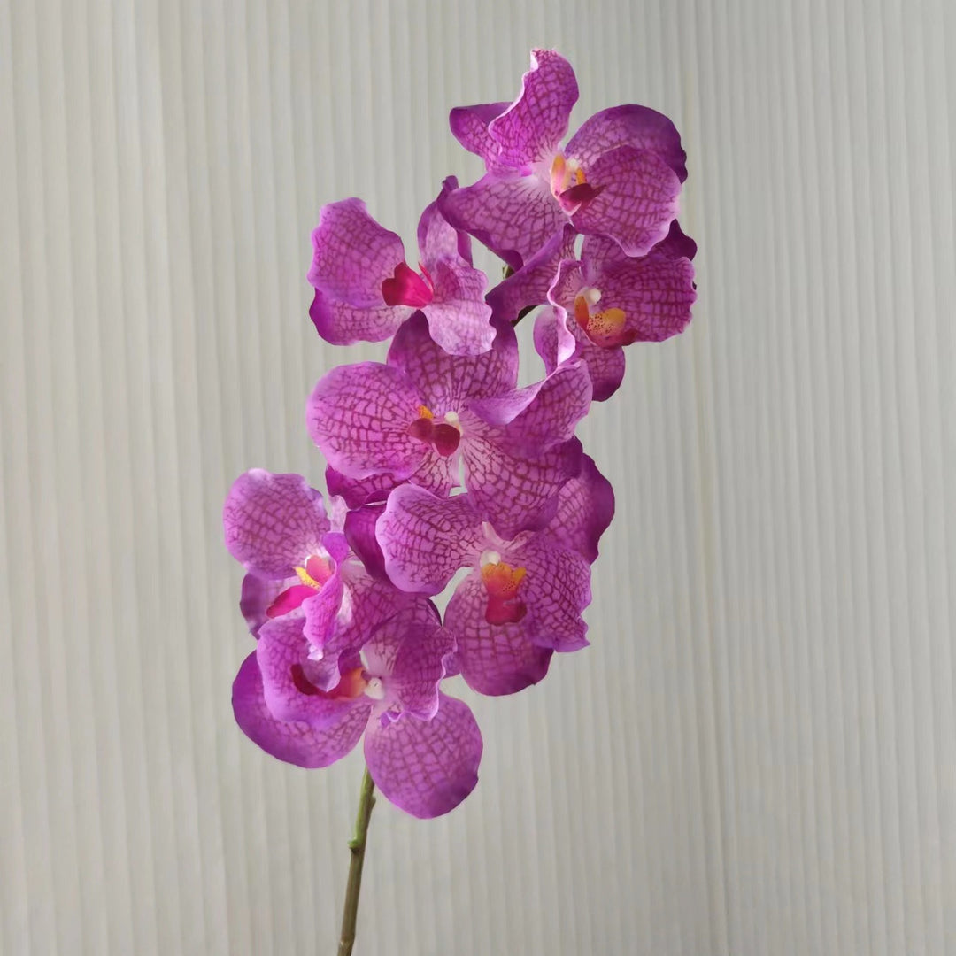 Realistic Orchid Stem