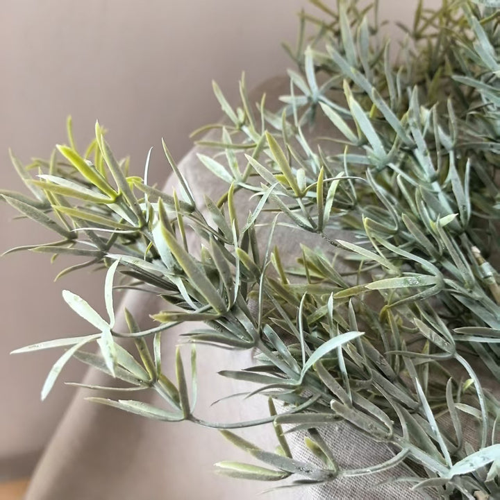Decorative Olive Branch