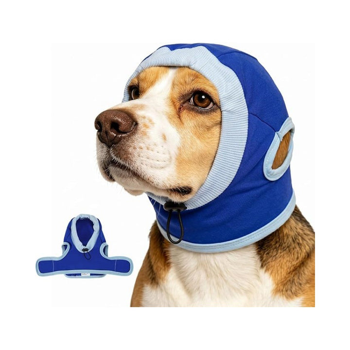 Dog head protection Kalsten
