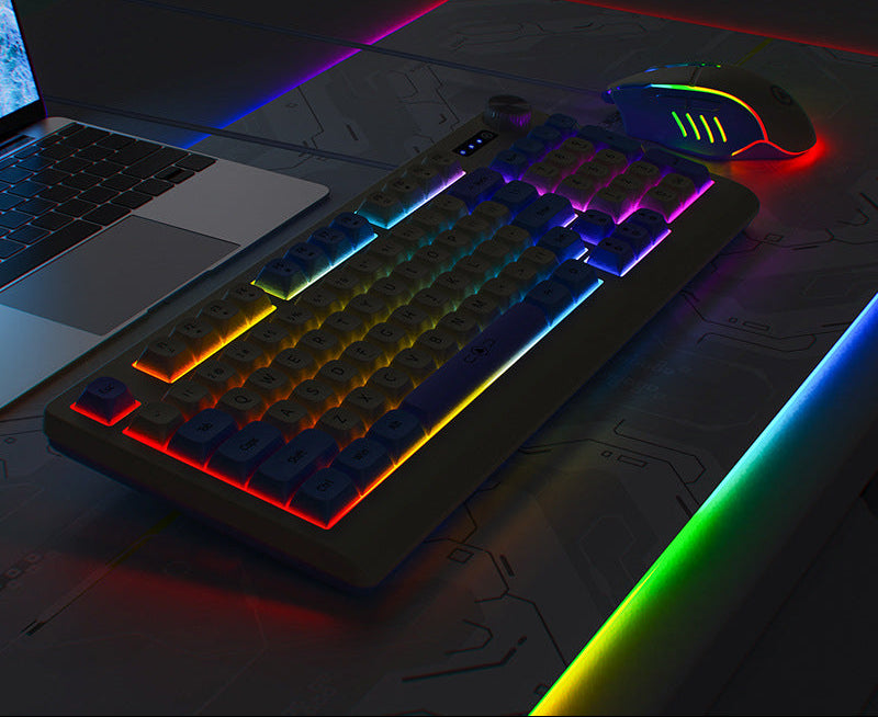 Retro RGB Mechanical Keyboard and Optical Gaming Mouse Set Kalsten