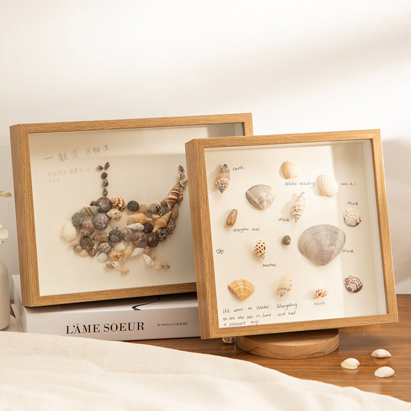 Decorative Shells Display Frame for Home