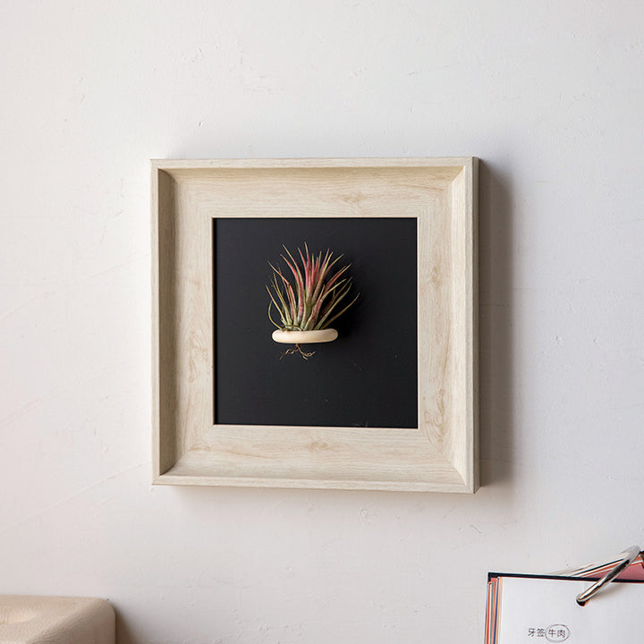 Artistic Plant Display Frame for Home Decor