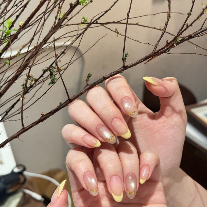 Elegant Ombre French Tip Nail Extensions