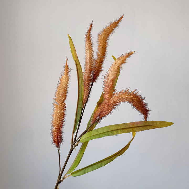Decorative Pampas Grass Stem