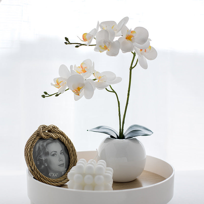 Decorative Orchid Arrangement