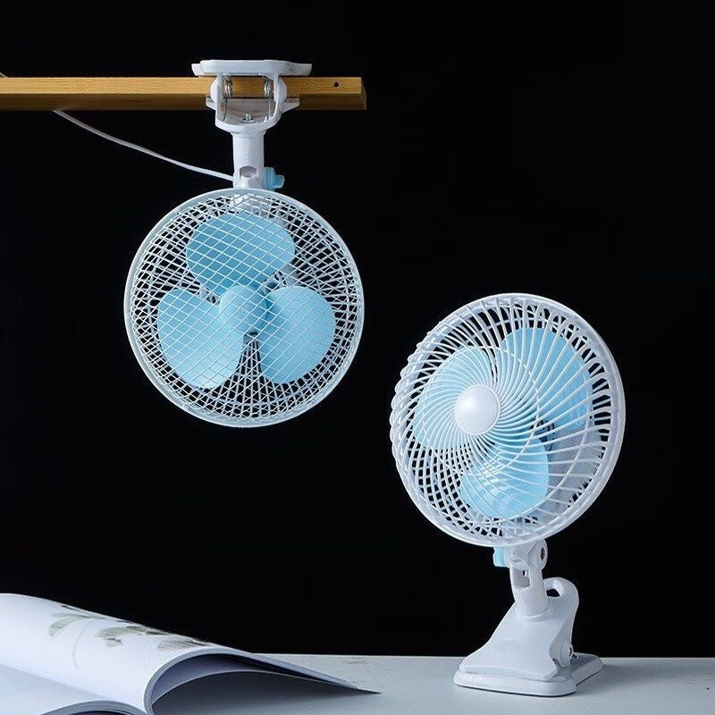 Fan Kalsten