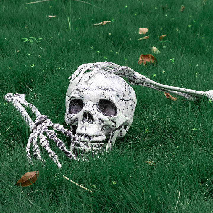 Decorative Skeleton Hand and Skull Décor Kalsten
