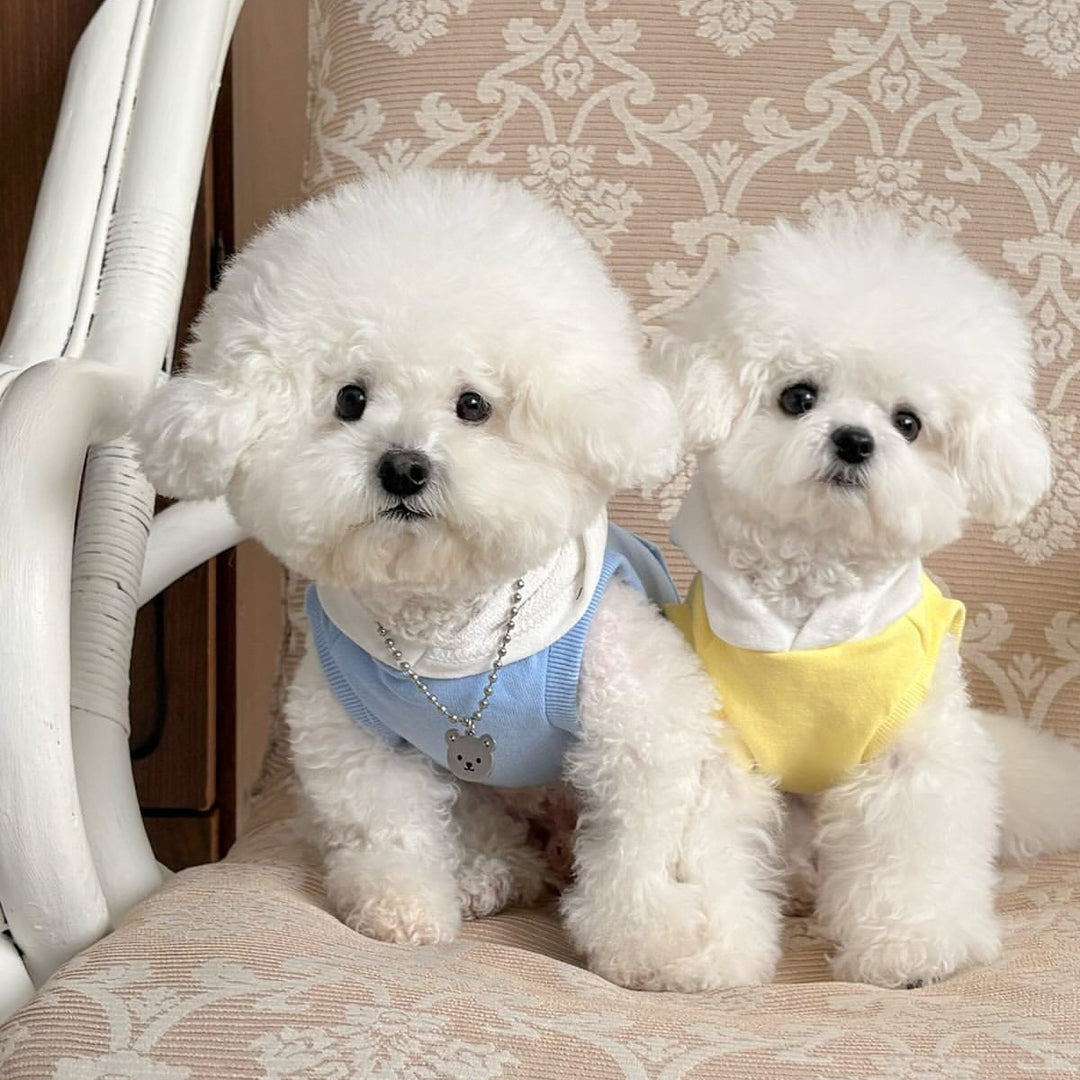 Pet Cotton Fleece Hooded Dog Sweater with Pocket