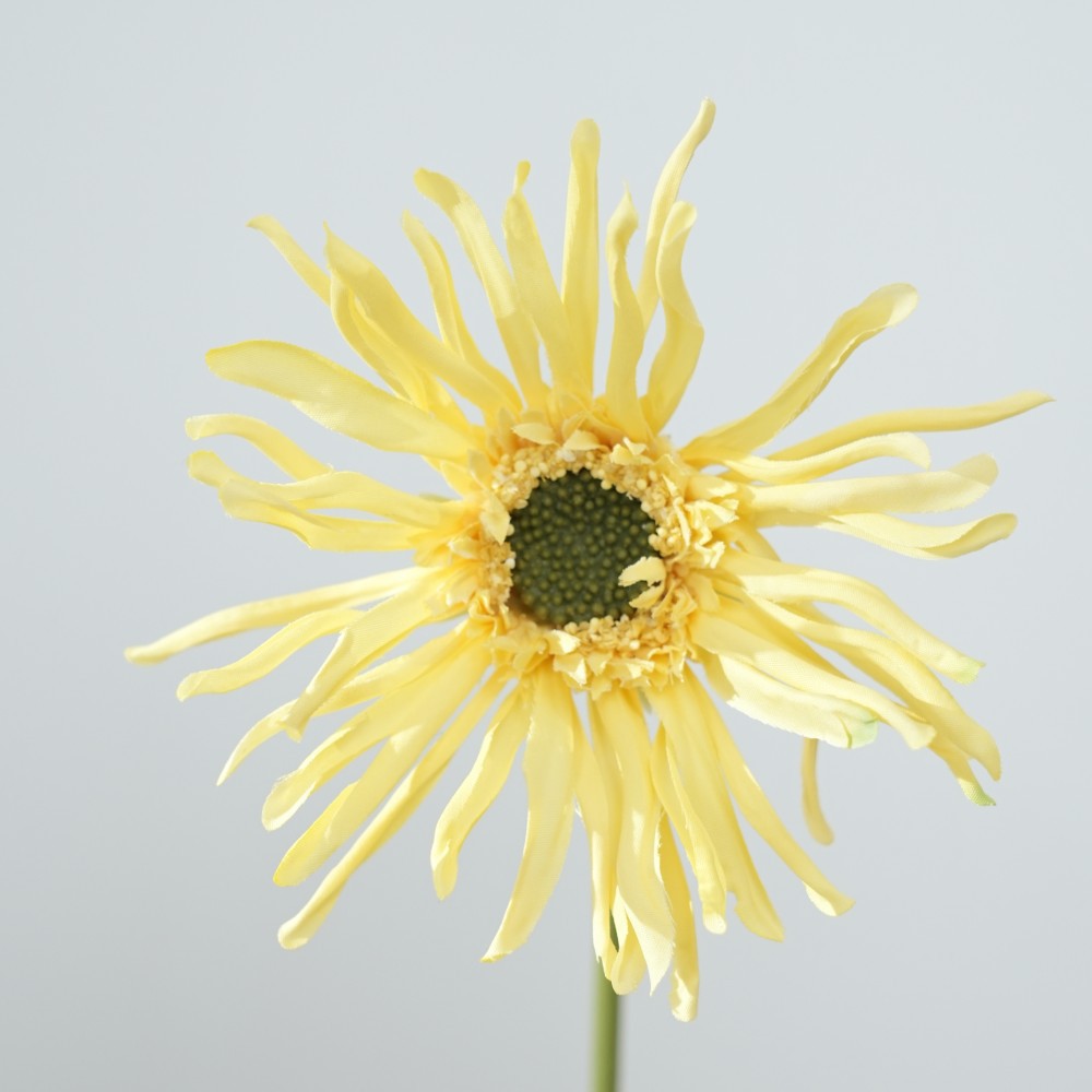 Realistic Sunflower Stem