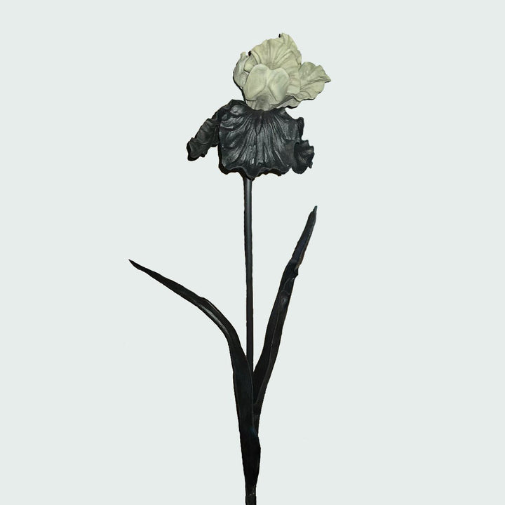 Decorative Iris Flower Stem