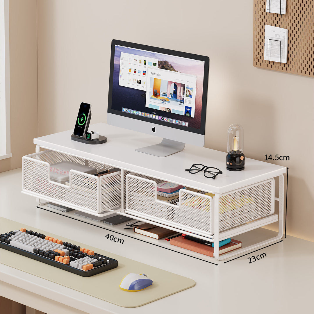 Multi-Functional Desk Organizer with Mesh Storage Bins Kalsten