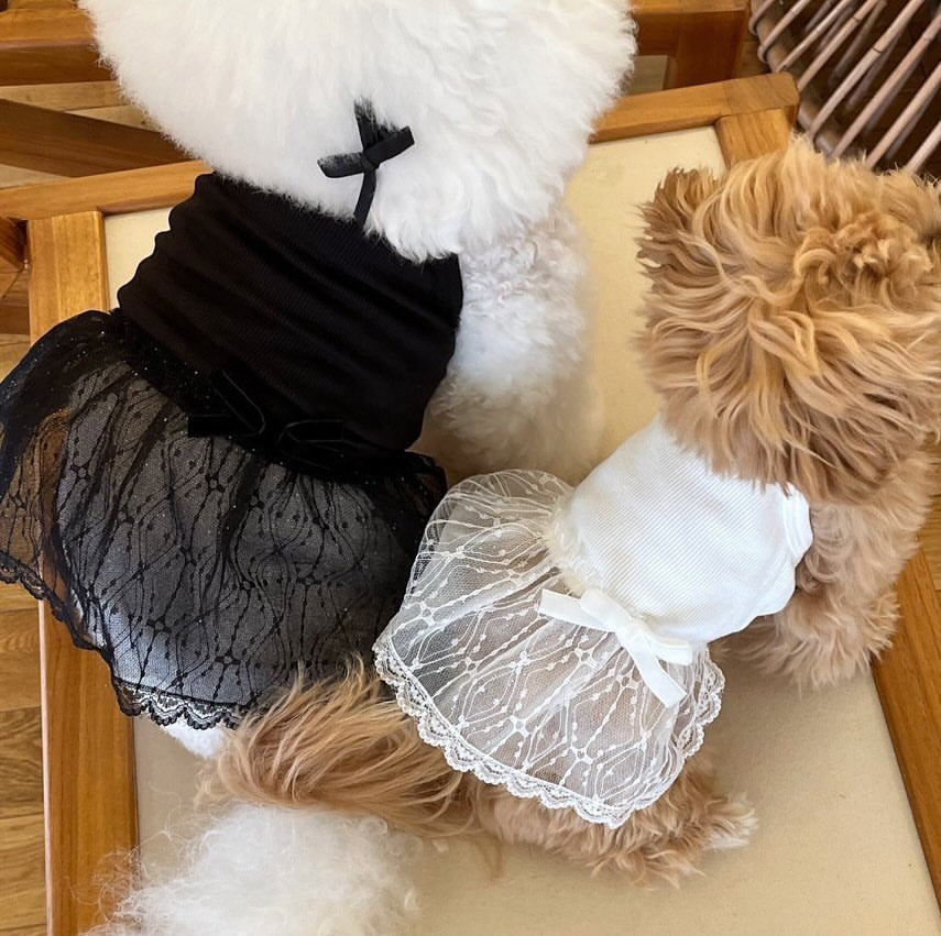 Delicate Lace Tulle Pet Dress with Ribbed Bodice & Decorative