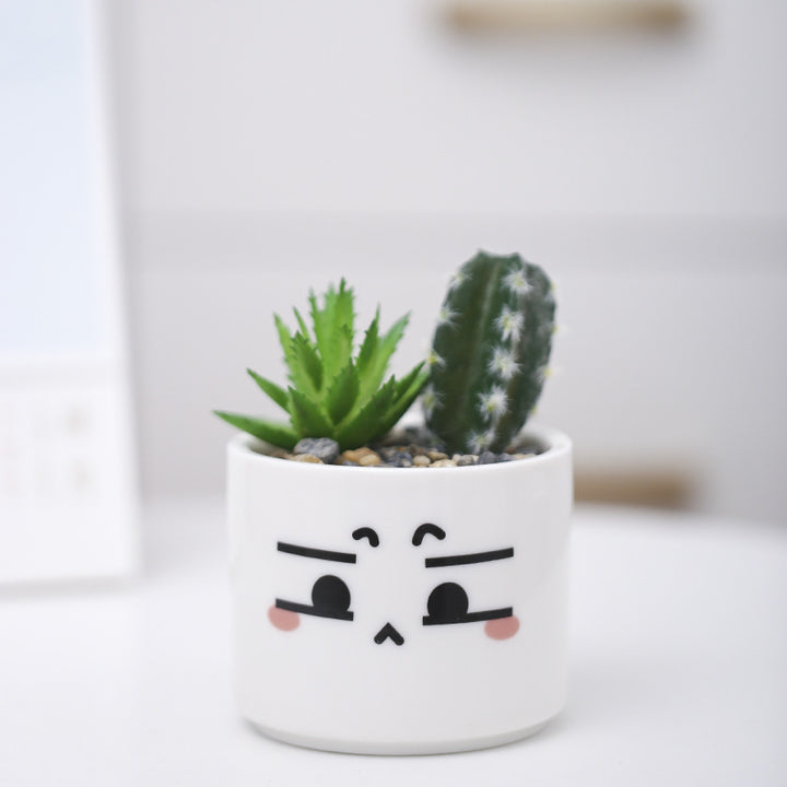 Cute Animal-Themed Succulent Planter Kalsten