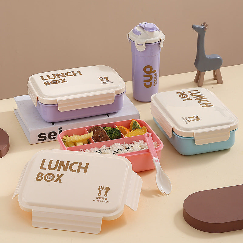 Stylish Portable Lunch Container