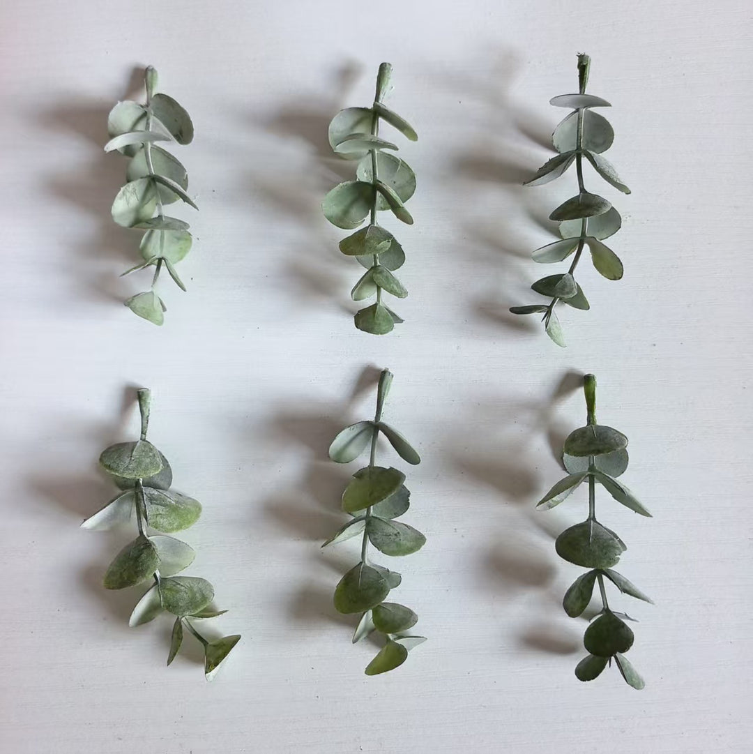 Decorative Eucalyptus