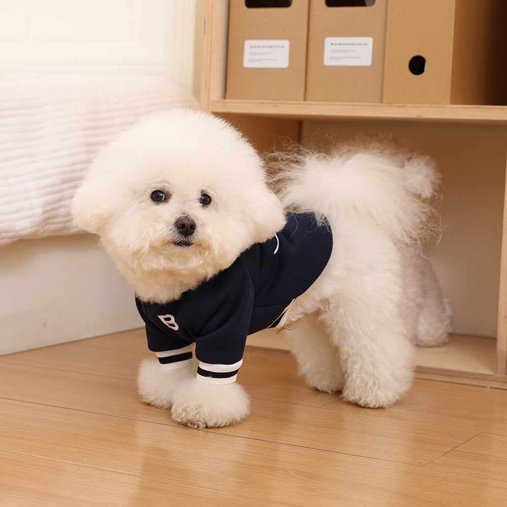 Pet Knit Polo Sweater with Ribbed Collar and Embroidered Chest