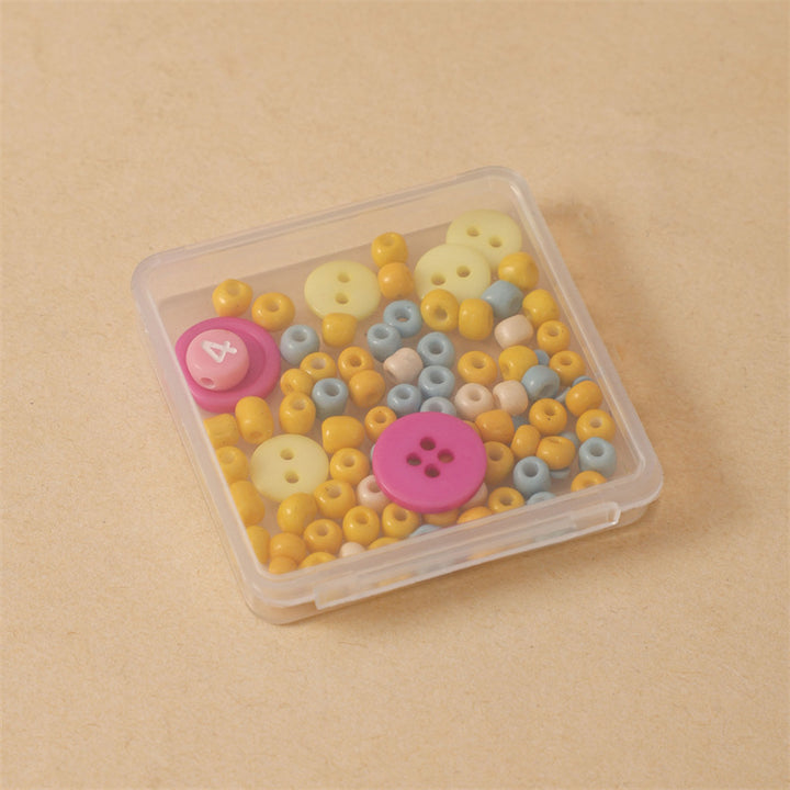 Compact Multi-Functional Clear Storage Case Kalsten