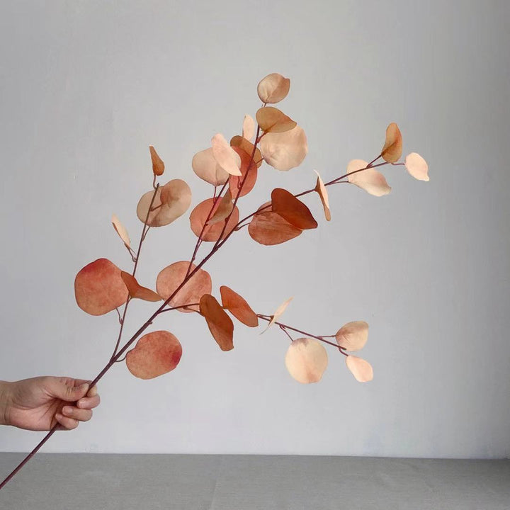 Decorative Eucalyptus Stem