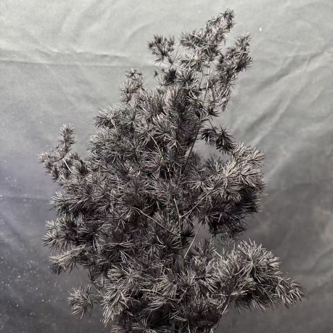 Decorative Dried Foliage Arrangement
