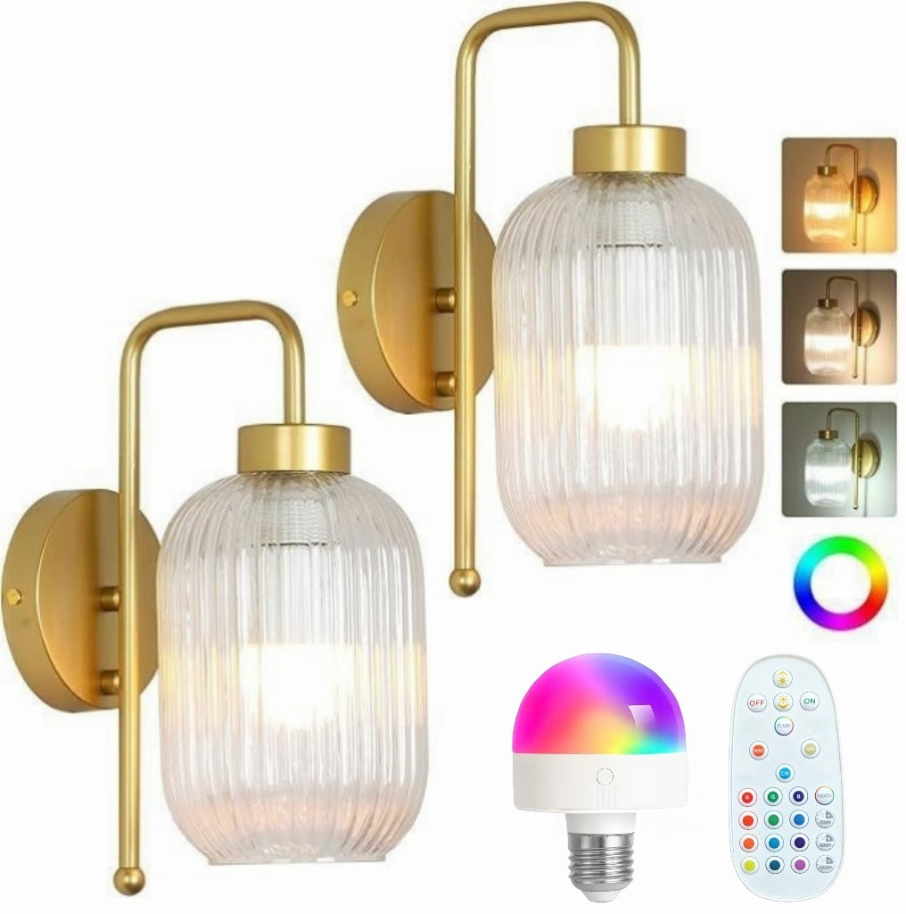 Elegant Glass Wall Light Fixture
