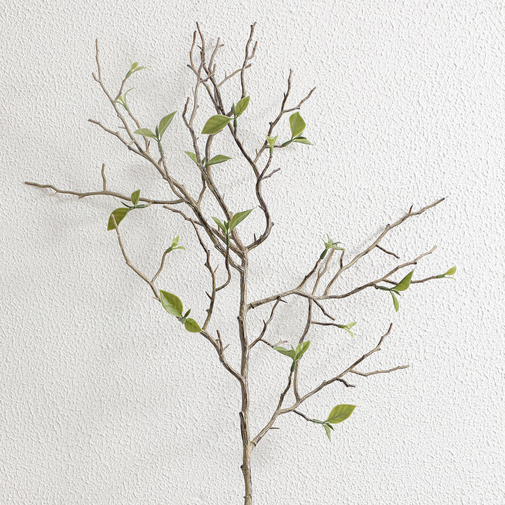 Decorative art branch with natural leaves