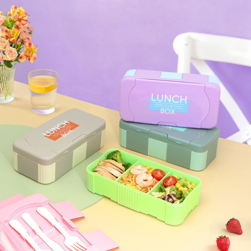 Stylish Multi-Section Lunch Box