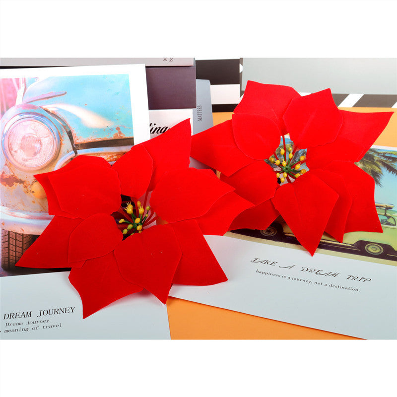Decorative Poinsettia Plant Arrangement Kalsten