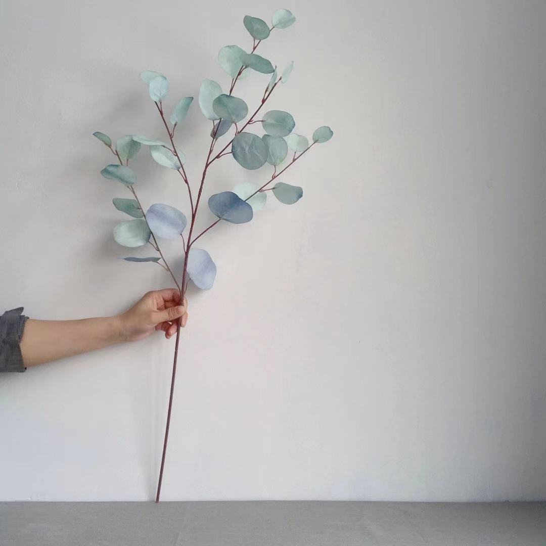 Decorative Eucalyptus Stem
